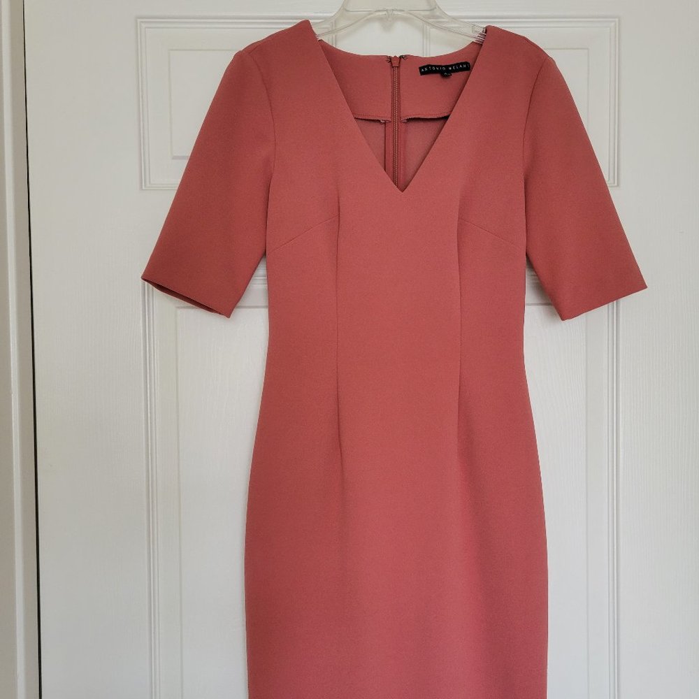 Antonio Melani Dress